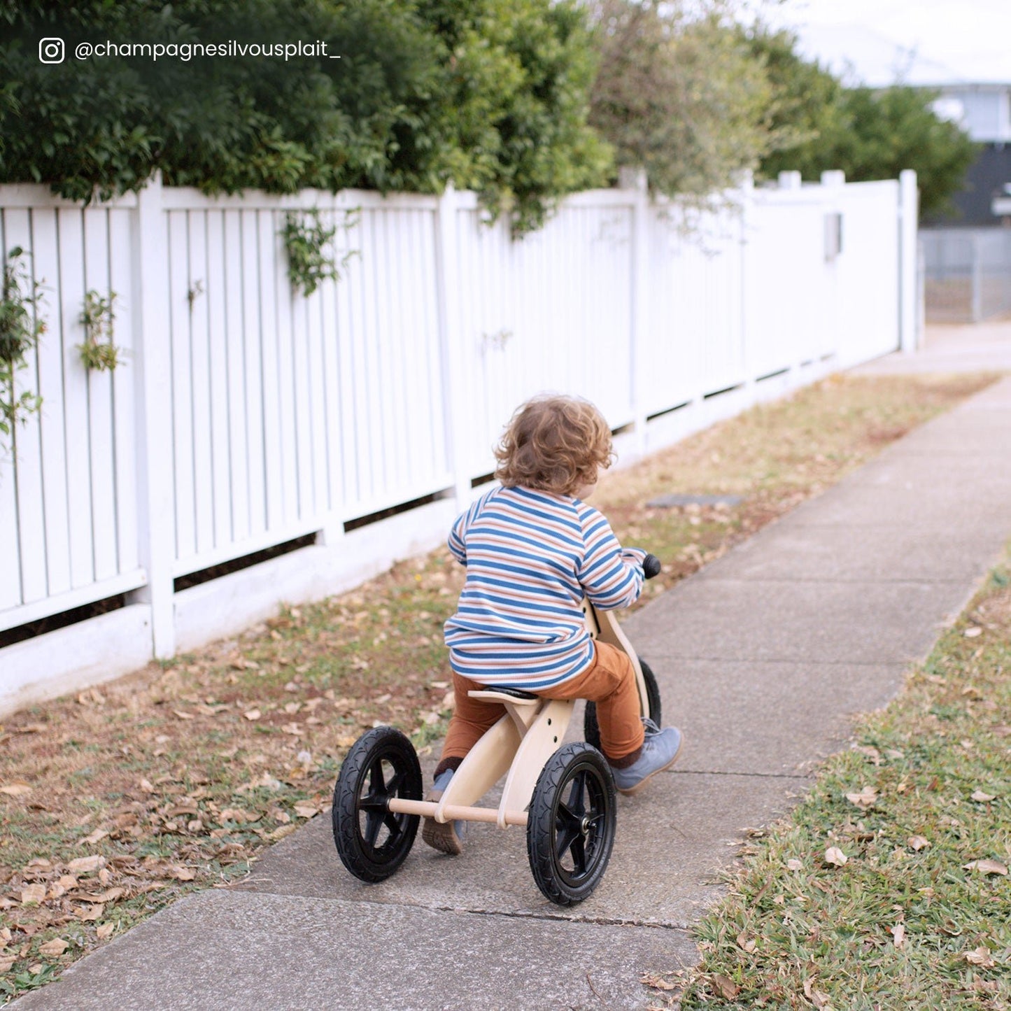 Lifespan Kids Scout 2-in-1 Balance Bike & Trike eco-friendly - Little Kids Business