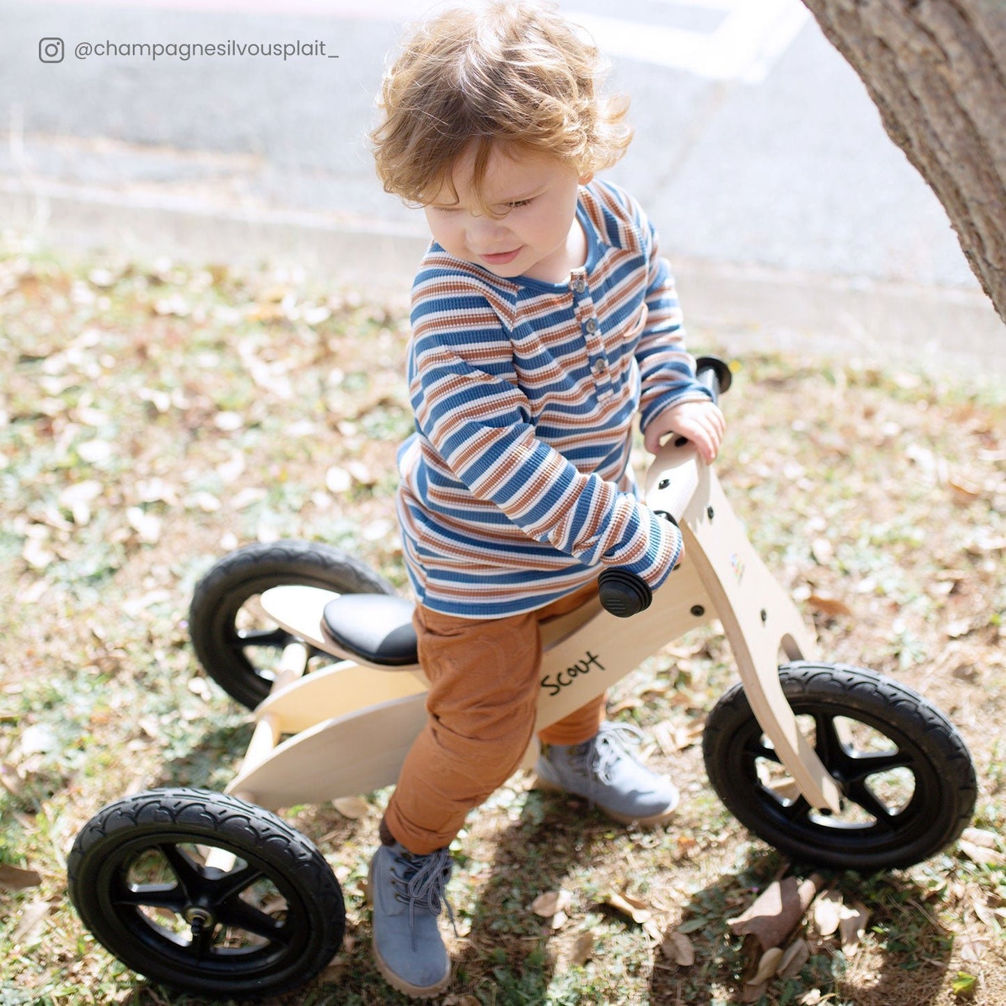 Lifespan Kids Scout 2-in-1 Balance Bike & Trike eco-friendly - Little Kids Business