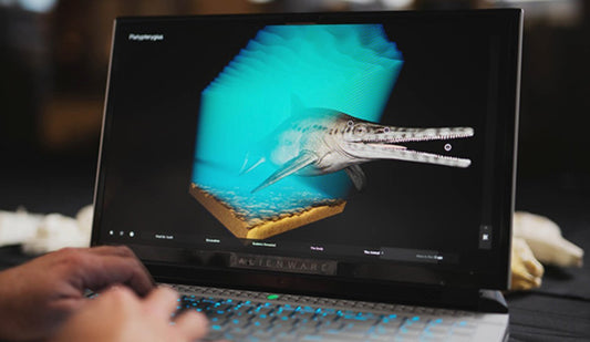 Digital technology helps Museums showcase treasures from the past - Little Kids Business