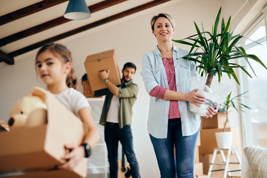 Ensuring Children Stay Healthy When Moving Into a New Home - Little Kids Business 