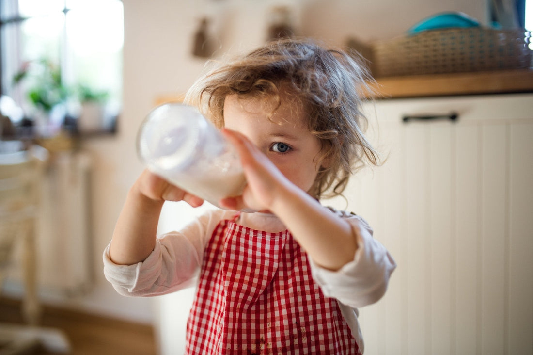 Tummy-Friendly Treats: Nourishing Lactose-Tolerant Children - Little Kids Business 