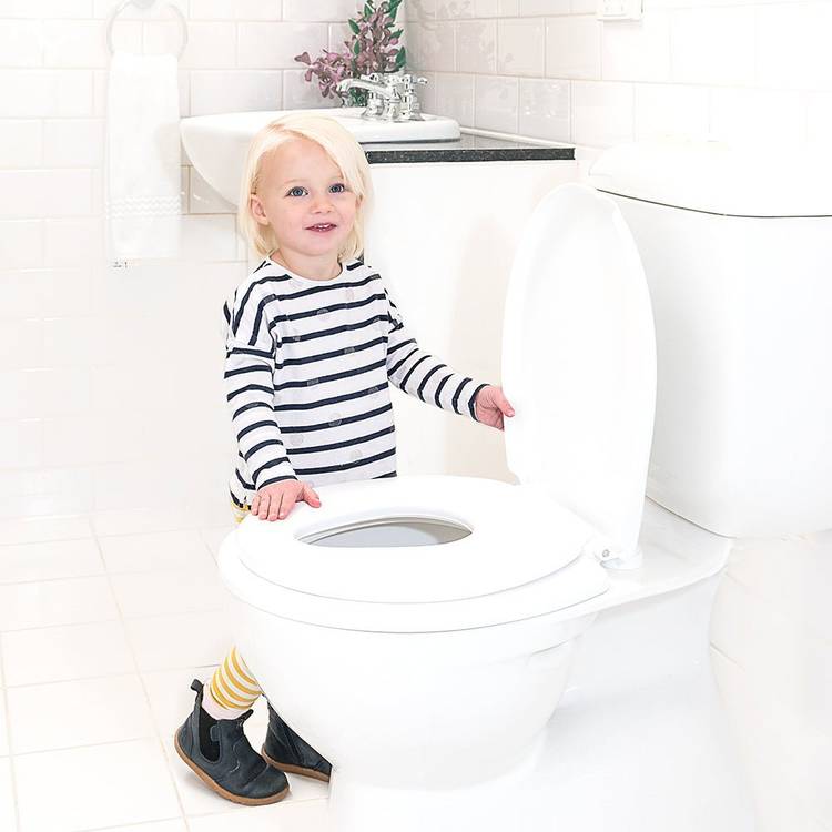 2-In-1 Toilet Trainer - toddler toilet seat - Little Kids Business