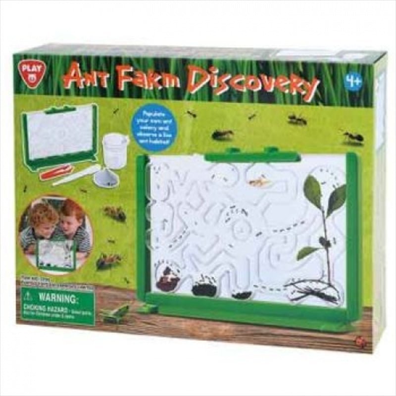 Ant Farm Discovery - Little Kids Business